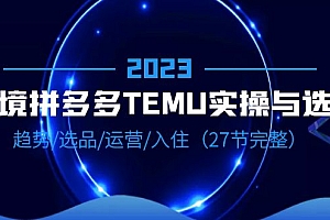 2023跨境·拼多多·TEMU实操与选品，趋势·选品·运营·入住